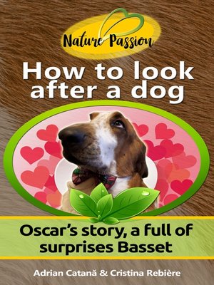 cover image of How to look after a dog